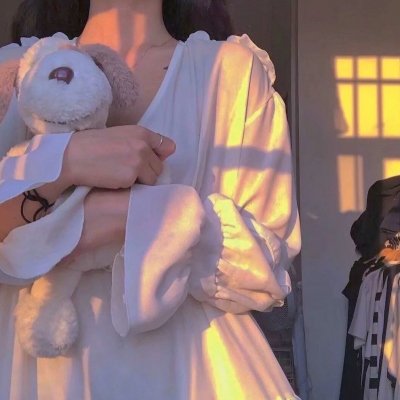 福斯特对话尼克松